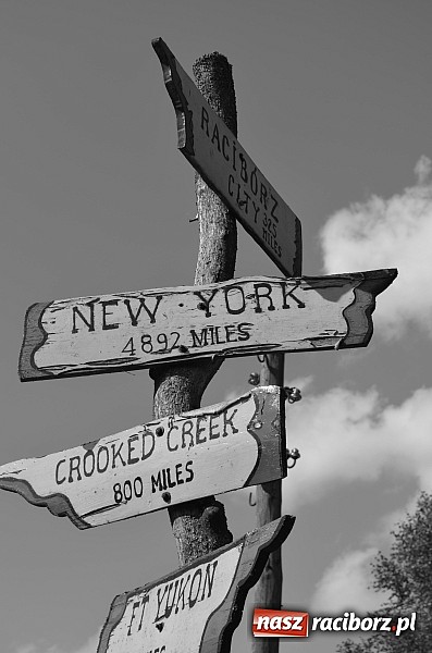 Zdjęcie w galerii na portalu naszraciborz.pl: Adapciak 2013. Fotorelacja z obozu raciborzan wiadomości z regionu