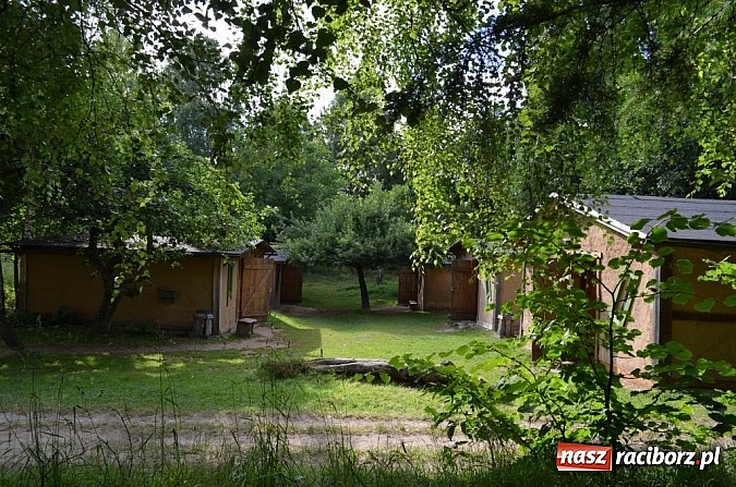 Zdjęcie w galerii na portalu naszraciborz.pl: Adapciak 2013. Fotorelacja z obozu raciborzan wiadomości z regionu