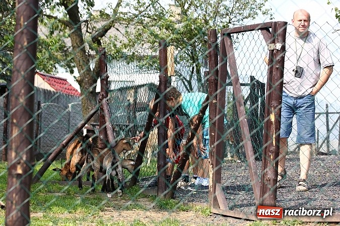 Zdjęcie w galerii na portalu naszraciborz.pl: Wspaniała zabawa na festynie w Mini ZOO w Gamowie wiadomości z regionu