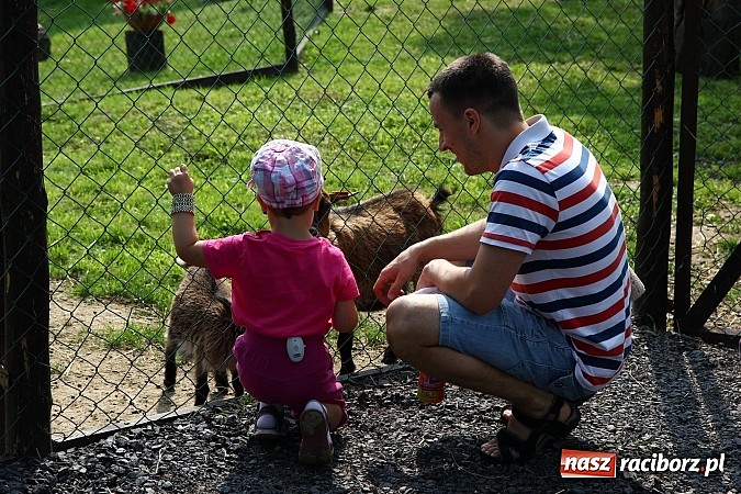 Zdjęcie w galerii na portalu naszraciborz.pl: Wspaniała zabawa na festynie w Mini ZOO w Gamowie wiadomości z regionu