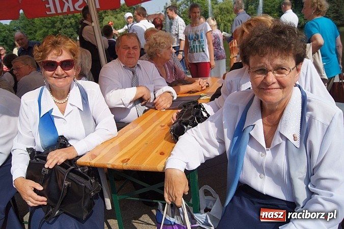 Zdjęcie w galerii na portalu naszraciborz.pl: Muzyka w parku Roth przyciągnęła tłumy wiadomości z regionu