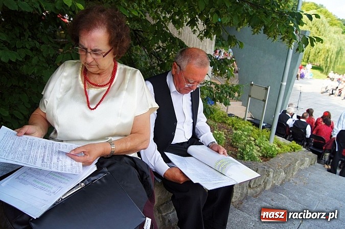 Zdjęcie w galerii na portalu naszraciborz.pl: Muzyka w parku Roth przyciągnęła tłumy wiadomości z regionu