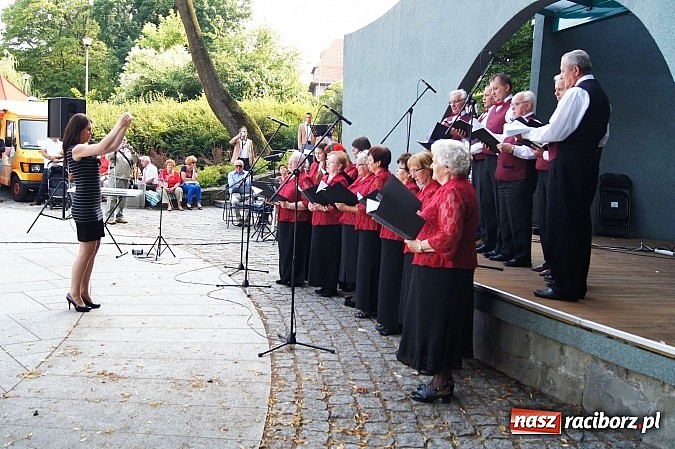 Zdjęcie w galerii na portalu naszraciborz.pl: Muzyka w parku Roth przyciągnęła tłumy wiadomości z regionu
