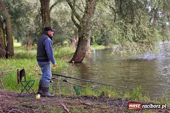 Zdjęcie w galerii na portalu naszraciborz.pl: VII Zawody Wędkarskie już za nami. Kto wygrał? wiadomości z regionu