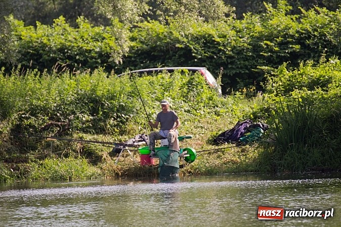 Zdjęcie w galerii na portalu naszraciborz.pl: VII Zawody Wędkarskie już za nami. Kto wygrał? wiadomości z regionu