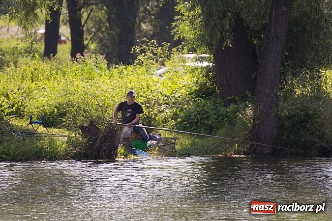 Zdjęcie w galerii na portalu naszraciborz.pl: VII Zawody Wędkarskie już za nami. Kto wygrał? wiadomości z regionu