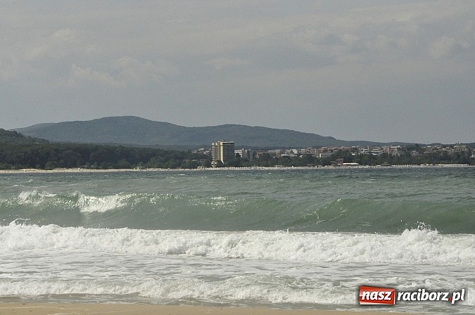 Zdjęcie w galerii na portalu naszraciborz.pl: Źródło czwarty raz na Balkan Folk Fest wiadomości z regionu