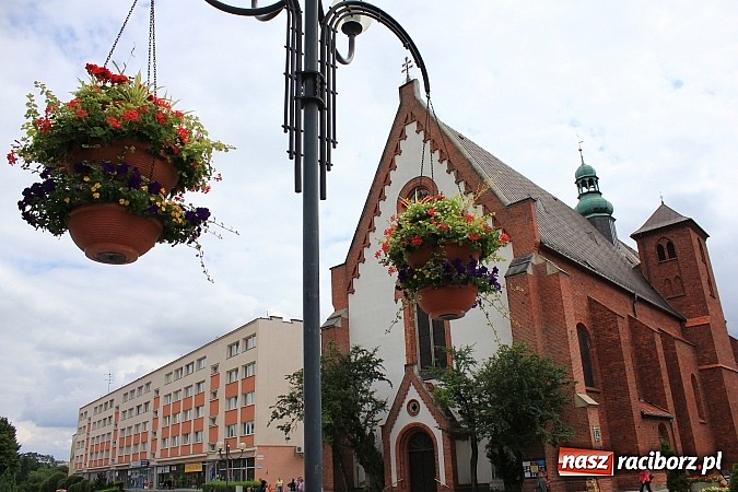 Zdjęcie w galerii na portalu naszraciborz.pl: Więcej kwiatów i zieleni na raciborskim rynku? wiadomości z regionu