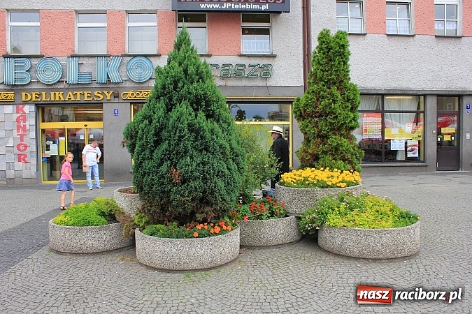 Zdjęcie w galerii na portalu naszraciborz.pl: Więcej kwiatów i zieleni na raciborskim rynku? wiadomości z regionu