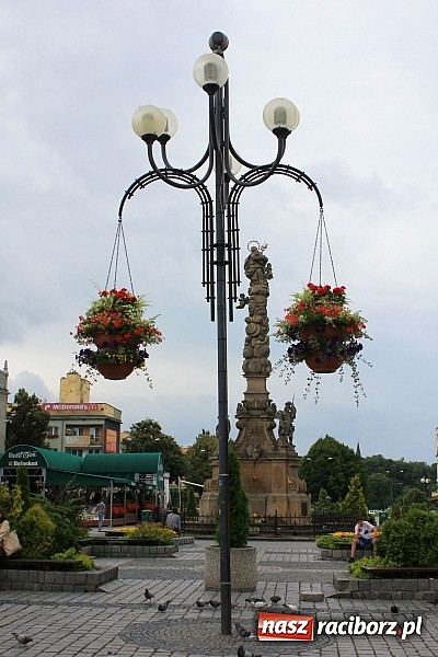 Zdjęcie w galerii na portalu naszraciborz.pl: Więcej kwiatów i zieleni na raciborskim rynku? wiadomości z regionu