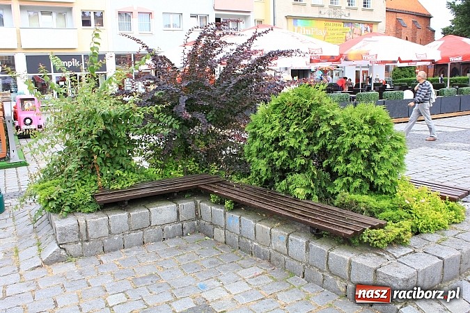 Zdjęcie w galerii na portalu naszraciborz.pl: Więcej kwiatów i zieleni na raciborskim rynku? wiadomości z regionu