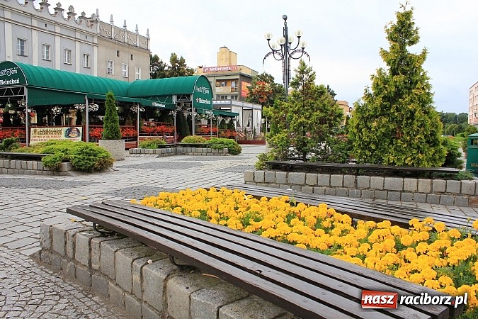 Zdjęcie w galerii na portalu naszraciborz.pl: Więcej kwiatów i zieleni na raciborskim rynku? wiadomości z regionu