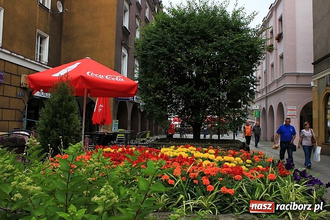 Zdjęcie w galerii na portalu naszraciborz.pl: Więcej kwiatów i zieleni na raciborskim rynku? wiadomości z regionu