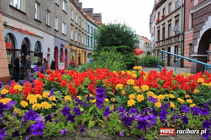 Zdjęcie w galerii na portalu naszraciborz.pl: Więcej kwiatów i zieleni na raciborskim rynku? wiadomości z regionu