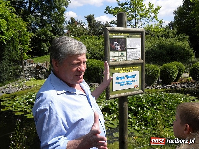 Zdjęcie w galerii na portalu naszraciborz.pl: Oko w oko z panterą śnieżną wiadomości z regionu