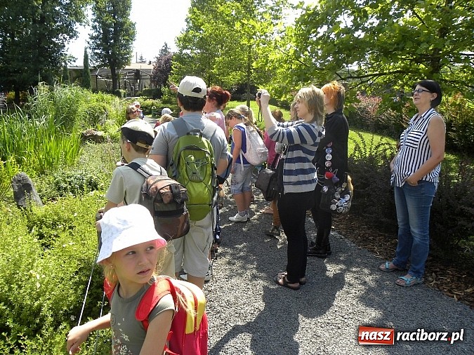 Zdjęcie w galerii na portalu naszraciborz.pl: Oko w oko z panterą śnieżną wiadomości z regionu