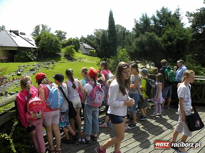 Zdjęcie w galerii na portalu naszraciborz.pl: Oko w oko z panterą śnieżną wiadomości z regionu