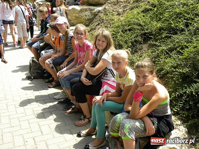 Zdjęcie w galerii na portalu naszraciborz.pl: Oko w oko z panterą śnieżną wiadomości z regionu