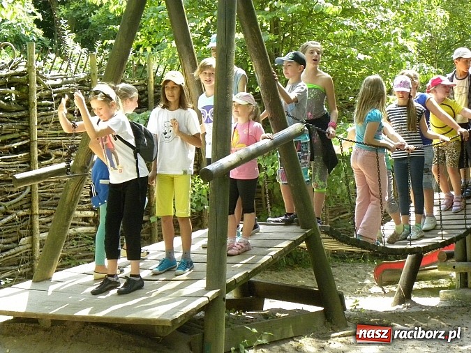 Zdjęcie w galerii na portalu naszraciborz.pl: Oko w oko z panterą śnieżną wiadomości z regionu