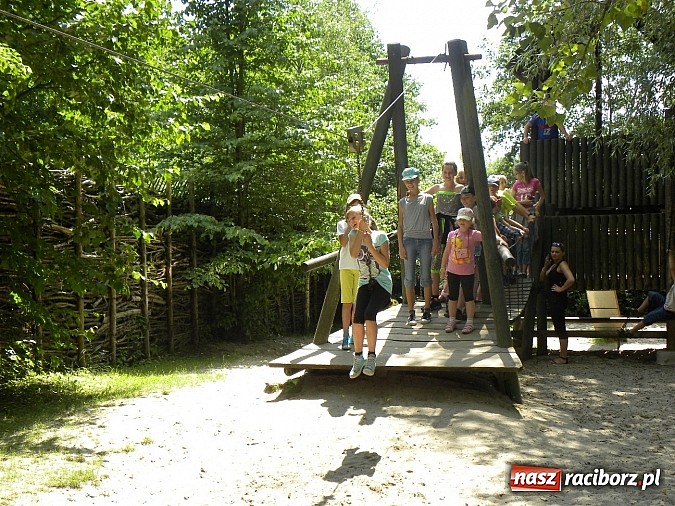 Zdjęcie w galerii na portalu naszraciborz.pl: Oko w oko z panterą śnieżną wiadomości z regionu