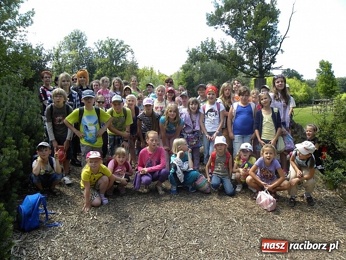 Zdjęcie w galerii na portalu naszraciborz.pl: Oko w oko z panterą śnieżną wiadomości z regionu