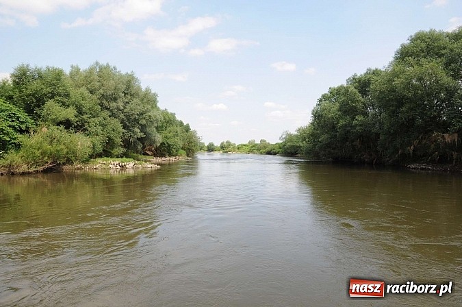 Zdjęcie w galerii na portalu naszraciborz.pl: Prom Ciechowice-Grzegorzowice wczoraj i dziś wiadomości z regionu