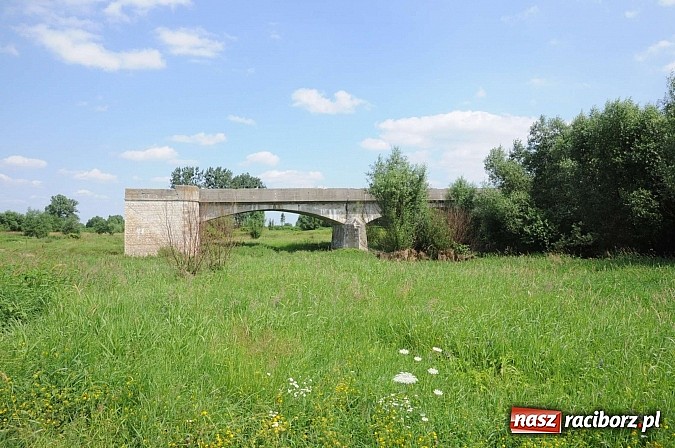 Zdjęcie w galerii na portalu naszraciborz.pl: Prom Ciechowice-Grzegorzowice wczoraj i dziś wiadomości z regionu