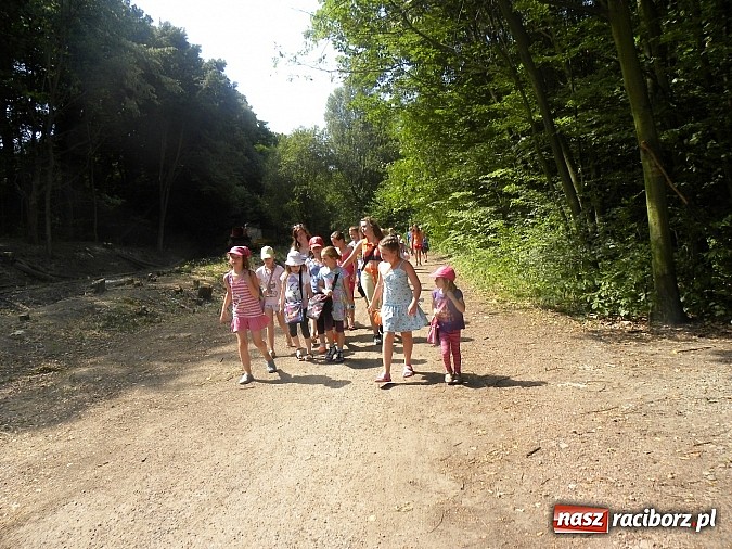 Zdjęcie w galerii na portalu naszraciborz.pl: Piknik w Zaczarowanym Ogrodzie wiadomości z regionu