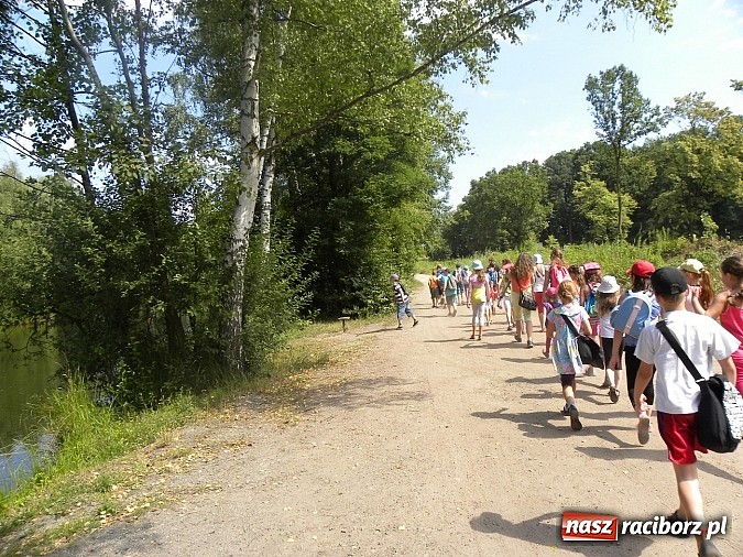 Zdjęcie w galerii na portalu naszraciborz.pl: Piknik w Zaczarowanym Ogrodzie wiadomości z regionu