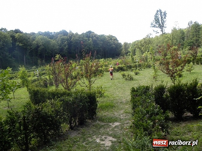 Zdjęcie w galerii na portalu naszraciborz.pl: Piknik w Zaczarowanym Ogrodzie wiadomości z regionu