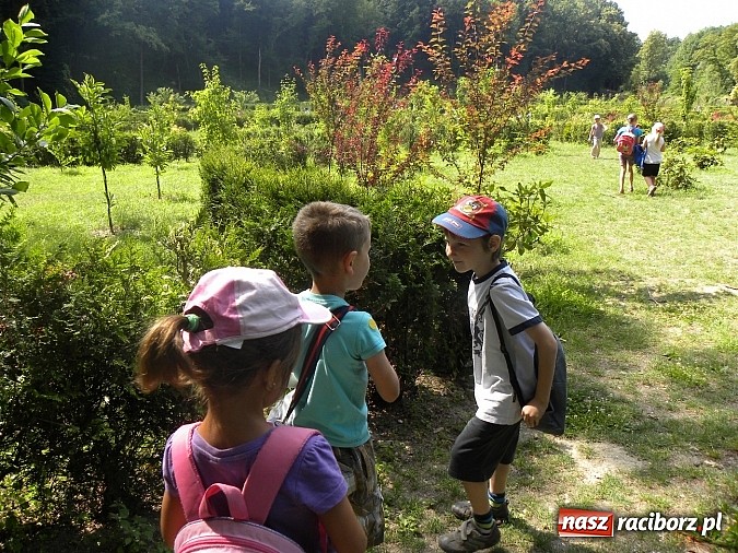 Zdjęcie w galerii na portalu naszraciborz.pl: Piknik w Zaczarowanym Ogrodzie wiadomości z regionu