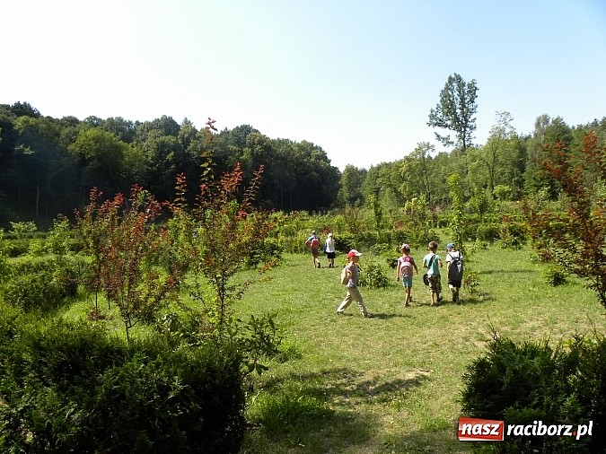 Zdjęcie w galerii na portalu naszraciborz.pl: Piknik w Zaczarowanym Ogrodzie wiadomości z regionu