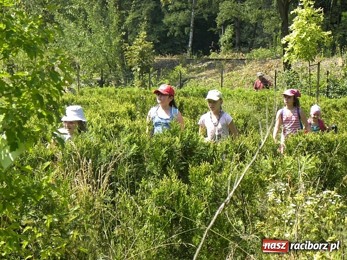 Zdjęcie w galerii na portalu naszraciborz.pl: Piknik w Zaczarowanym Ogrodzie wiadomości z regionu