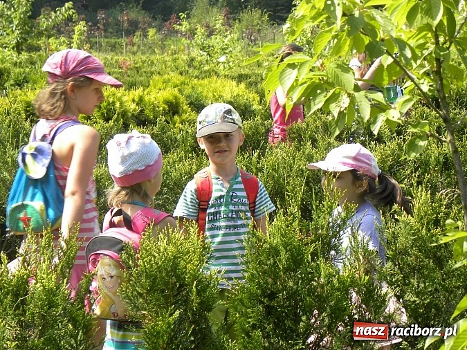 Zdjęcie w galerii na portalu naszraciborz.pl: Piknik w Zaczarowanym Ogrodzie wiadomości z regionu