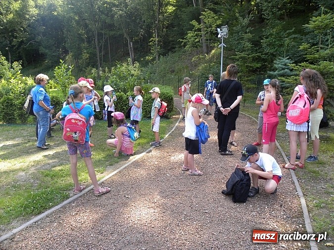 Zdjęcie w galerii na portalu naszraciborz.pl: Piknik w Zaczarowanym Ogrodzie wiadomości z regionu
