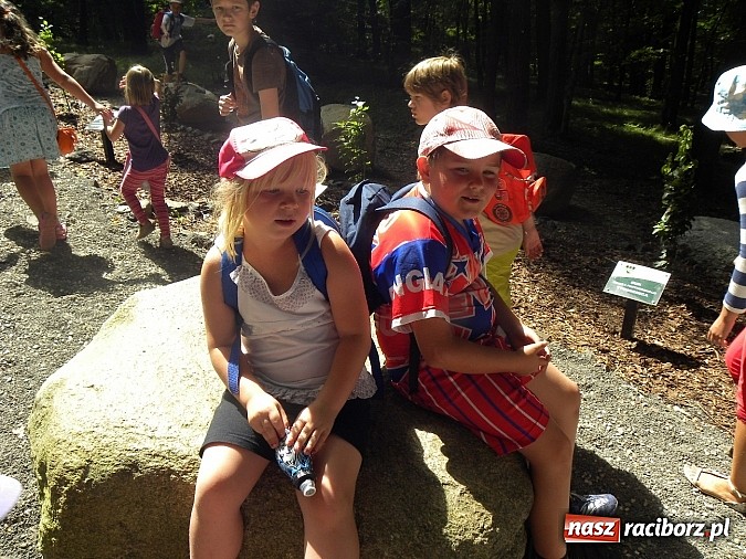 Zdjęcie w galerii na portalu naszraciborz.pl: Piknik w Zaczarowanym Ogrodzie wiadomości z regionu