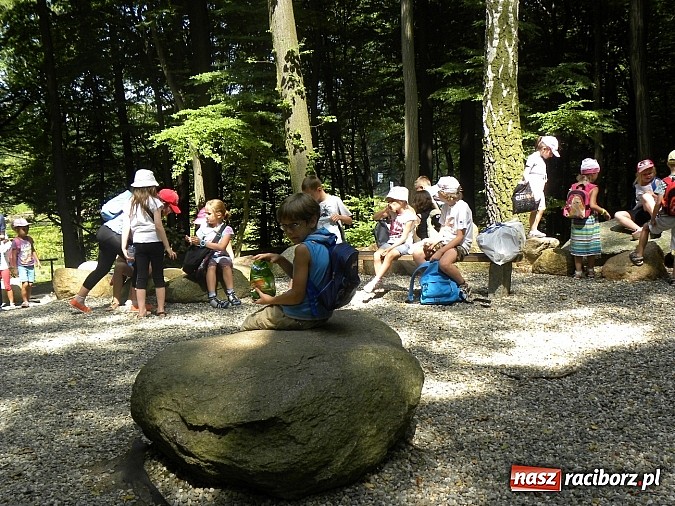 Zdjęcie w galerii na portalu naszraciborz.pl: Piknik w Zaczarowanym Ogrodzie wiadomości z regionu