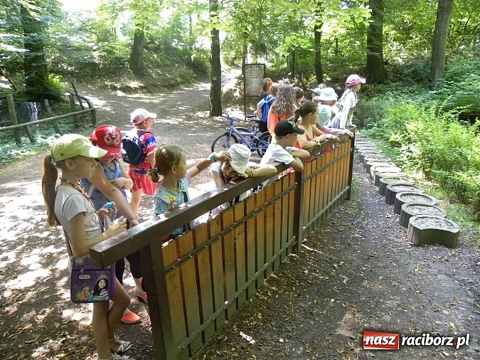 Zdjęcie w galerii na portalu naszraciborz.pl: Piknik w Zaczarowanym Ogrodzie wiadomości z regionu