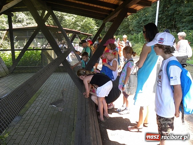 Zdjęcie w galerii na portalu naszraciborz.pl: Piknik w Zaczarowanym Ogrodzie wiadomości z regionu