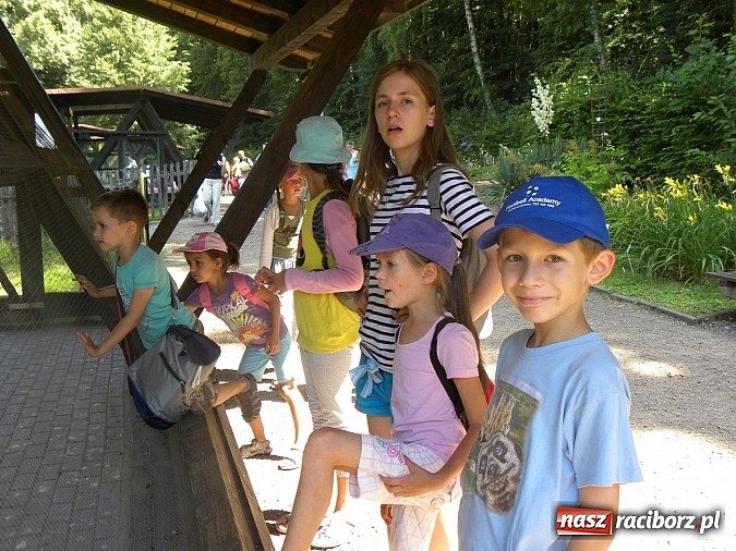 Zdjęcie w galerii na portalu naszraciborz.pl: Piknik w Zaczarowanym Ogrodzie wiadomości z regionu