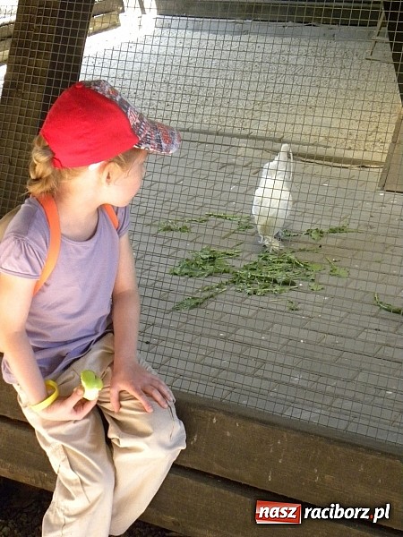 Zdjęcie w galerii na portalu naszraciborz.pl: Piknik w Zaczarowanym Ogrodzie wiadomości z regionu