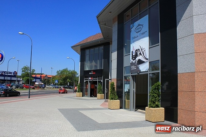 Zdjęcie w galerii na portalu naszraciborz.pl: Pijawki lekarskie dla zdrowia i urody wiadomości z regionu