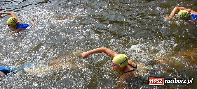 Zdjęcie w galerii na portalu naszraciborz.pl: Złote medale dla uczniów raciborskiej SMS wiadomości z regionu