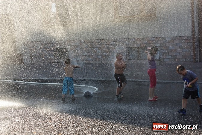 Zdjęcie w galerii na portalu naszraciborz.pl: Upalna niedziela w Krzanowicach - piknik familijny na dni miasta wiadomości z regionu