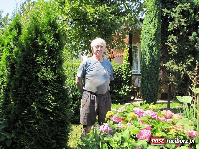 Zdjęcie w galerii na portalu naszraciborz.pl: Działkowcy ubolewają - to rok nieurodzajów wiadomości z regionu