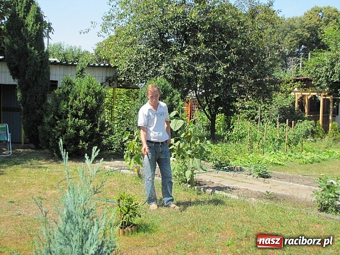 Zdjęcie w galerii na portalu naszraciborz.pl: Działkowcy ubolewają - to rok nieurodzajów wiadomości z regionu