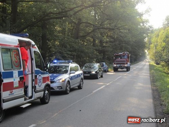 Zdjęcie w galerii na portalu naszraciborz.pl: Tragiczny wypadek przy źródełku Hugon na trasie Racibórz-Gliwice. Dwie kobiety nie żyją! wiadomości z regionu