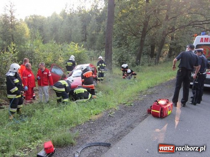 Zdjęcie w galerii na portalu naszraciborz.pl: Tragiczny wypadek przy źródełku Hugon na trasie Racibórz-Gliwice. Dwie kobiety nie żyją! wiadomości z regionu