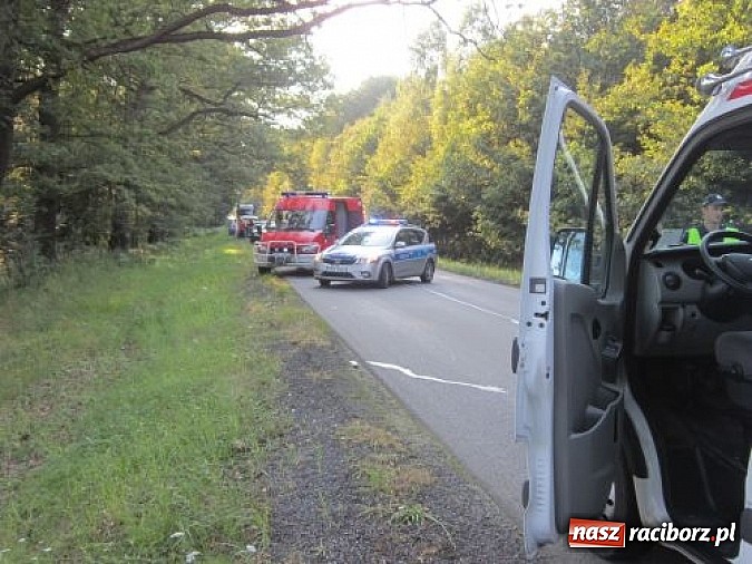 Zdjęcie w galerii na portalu naszraciborz.pl: Tragiczny wypadek przy źródełku Hugon na trasie Racibórz-Gliwice. Dwie kobiety nie żyją! wiadomości z regionu