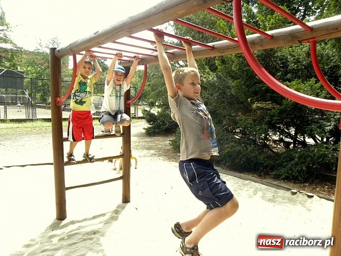 Zdjęcie w galerii na portalu naszraciborz.pl: Na indyjskiej ulicy... wiadomości z regionu